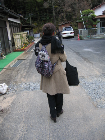 f:id:madmomo:20071206114306j:image f:id:madmomo:20071206114306j:image