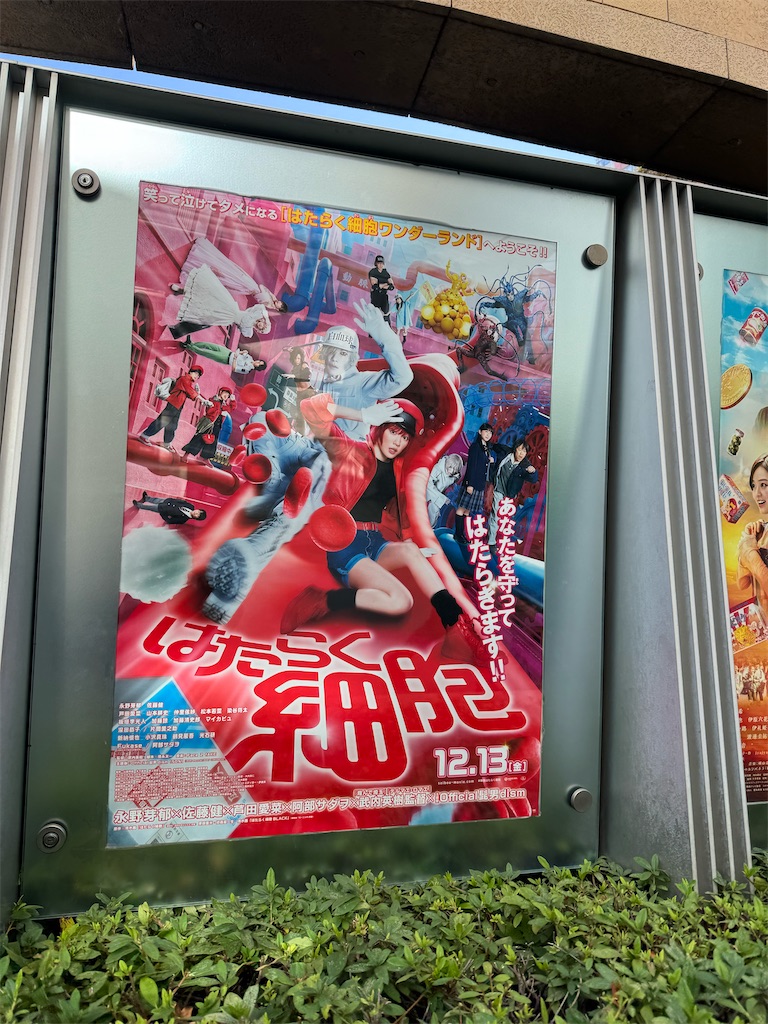 f:id:madokais:20241226232508j:image