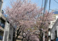 20090408085954
