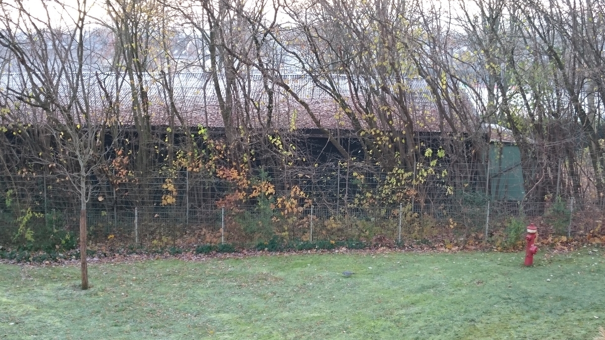 f:id:madonosotokun:20191202034813j:plain f:id:madonosotokun:20191202034813j:plain