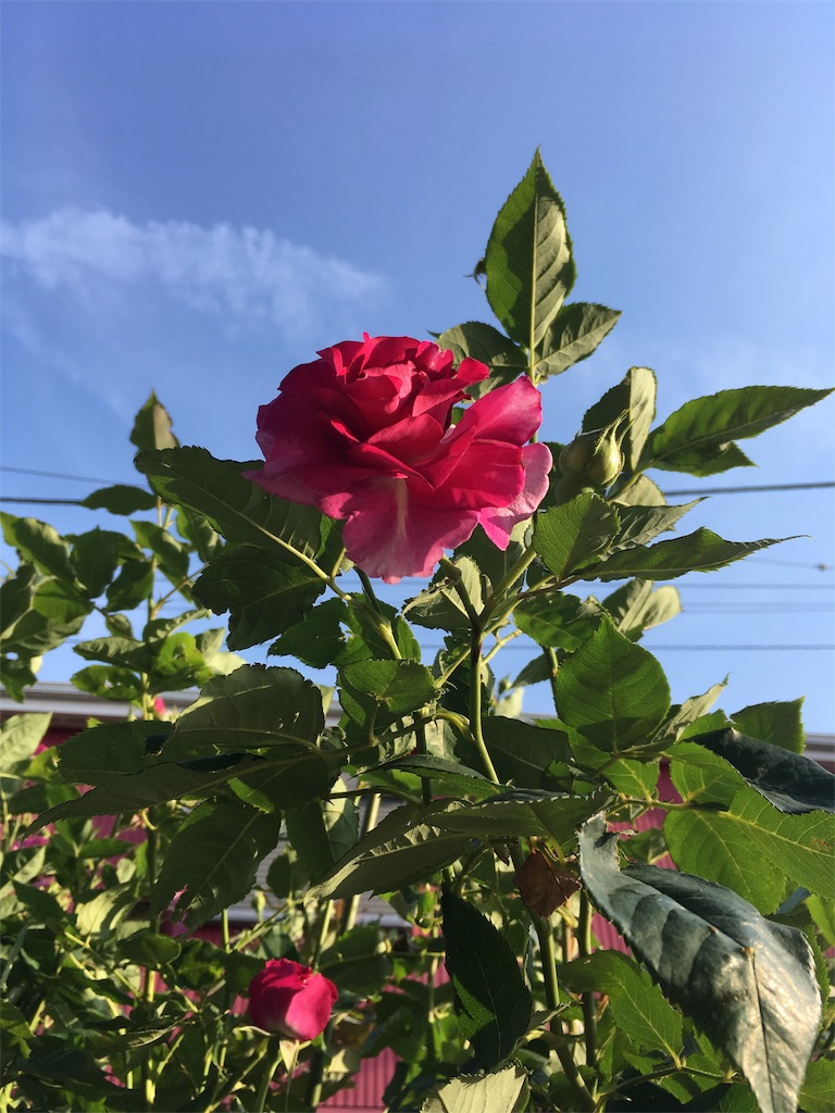 f:id:madotvxq:20180501224734j:image f:id:madotvxq:20180501224734j:image