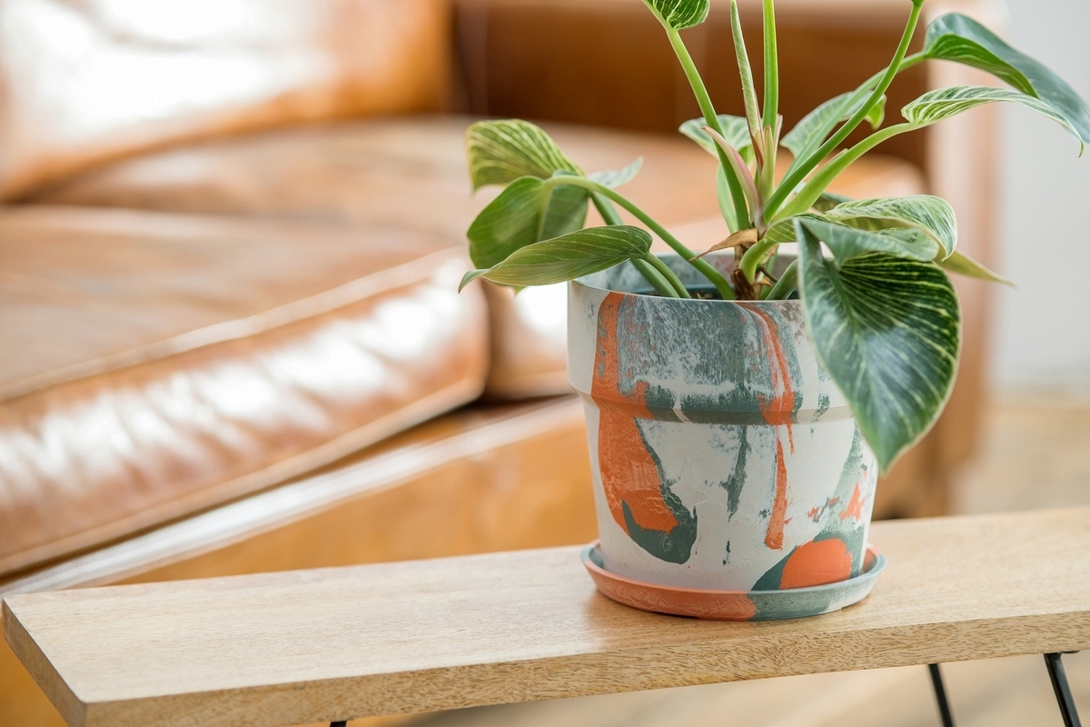 ポッシュリビング POSH LIVING ラダーハンガーS サイズ POSH LIVING