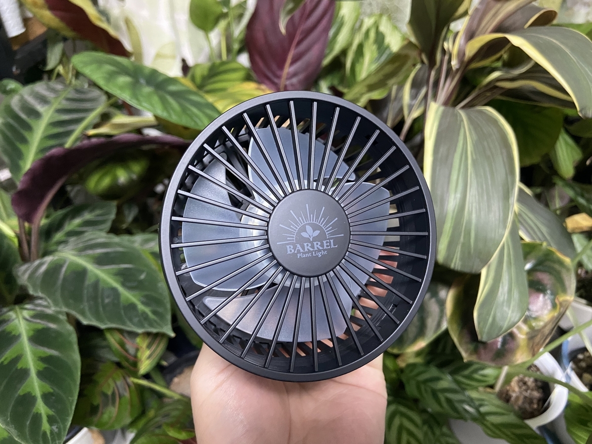 おすすめ】観葉植物専用の小型サーキュレーター（扇風機）が発売