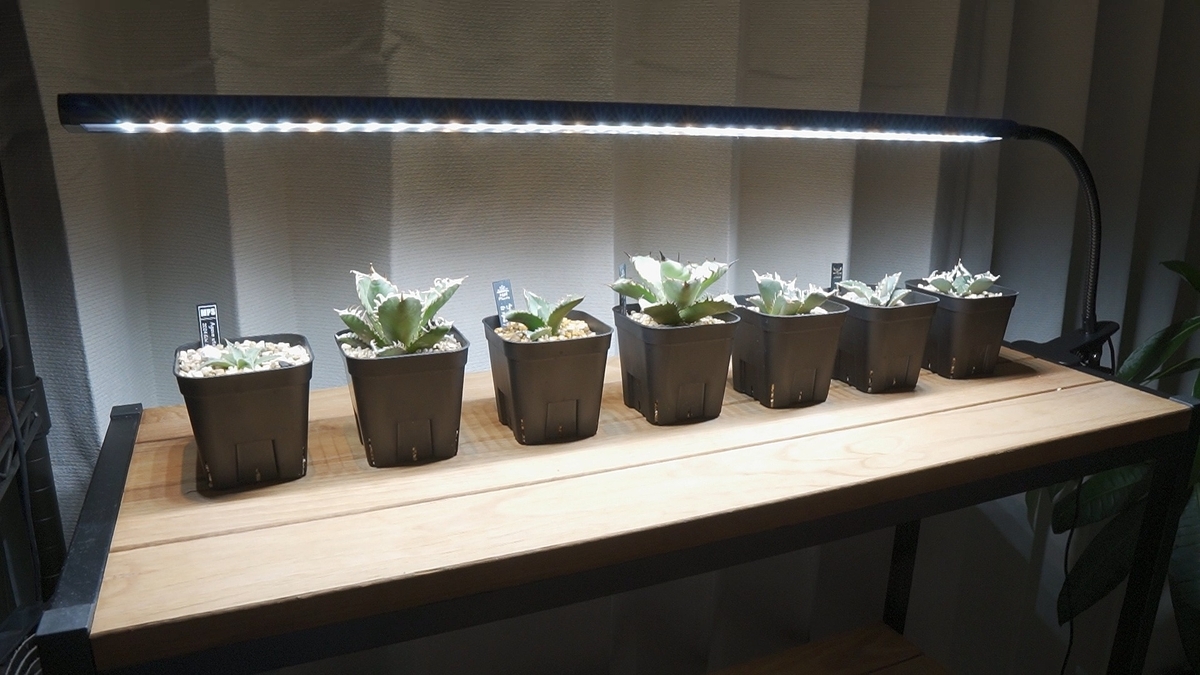 はるデザインの新製品: 植物育成ライト「BARLIGHT L610