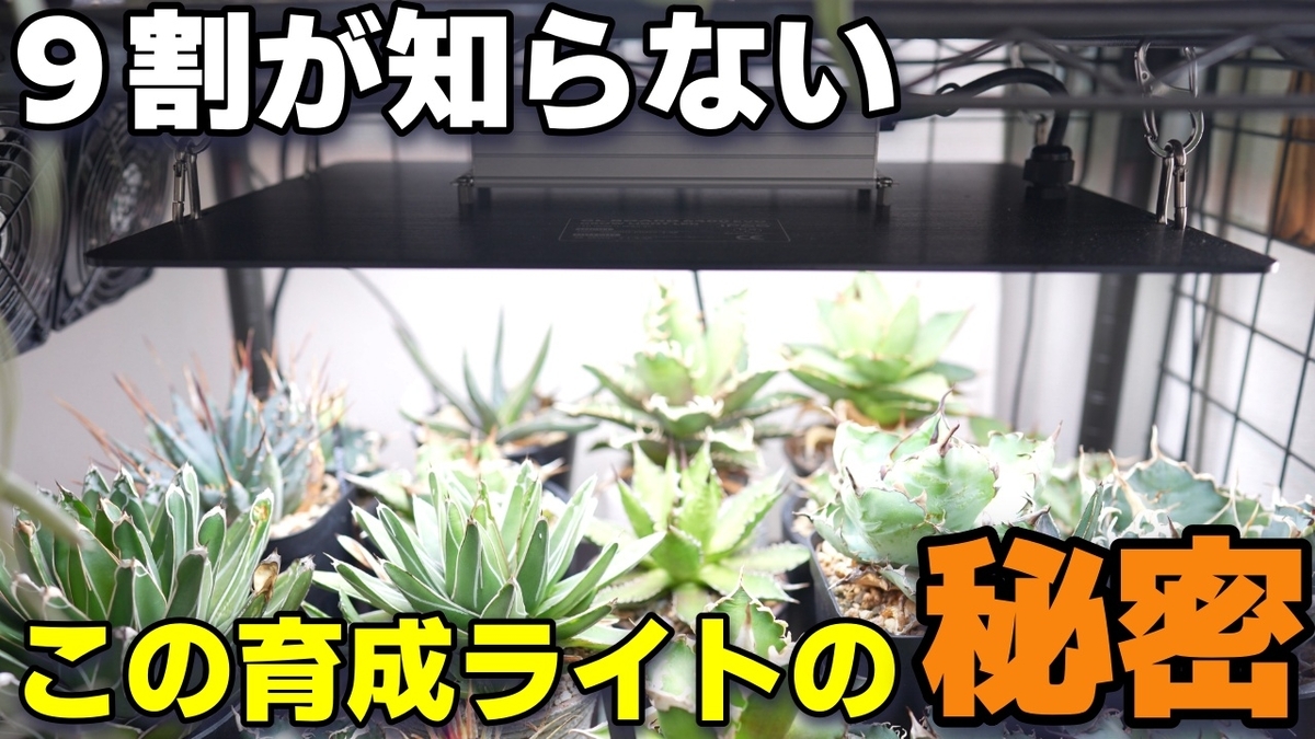 RxFarm