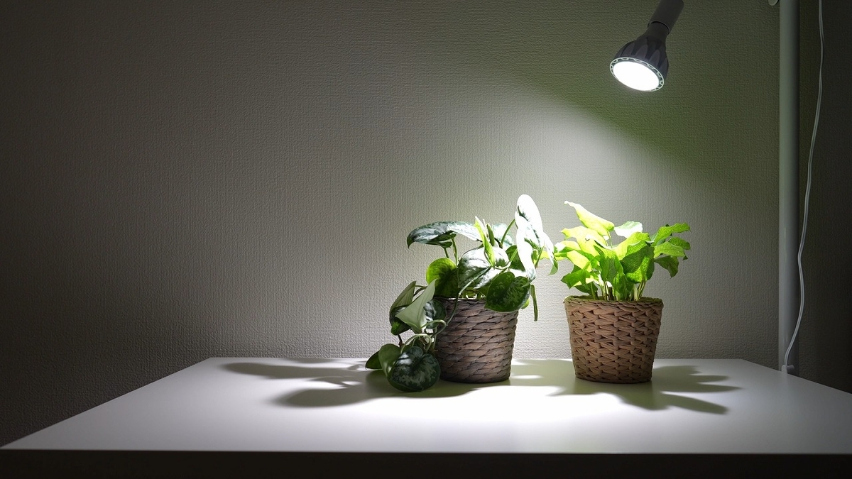 インテリアに映えるホワイトカラー植物育成ライト - RxFarm