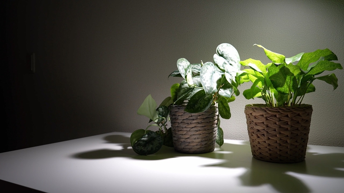 インテリアに映えるホワイトカラー植物育成ライト - RxFarm