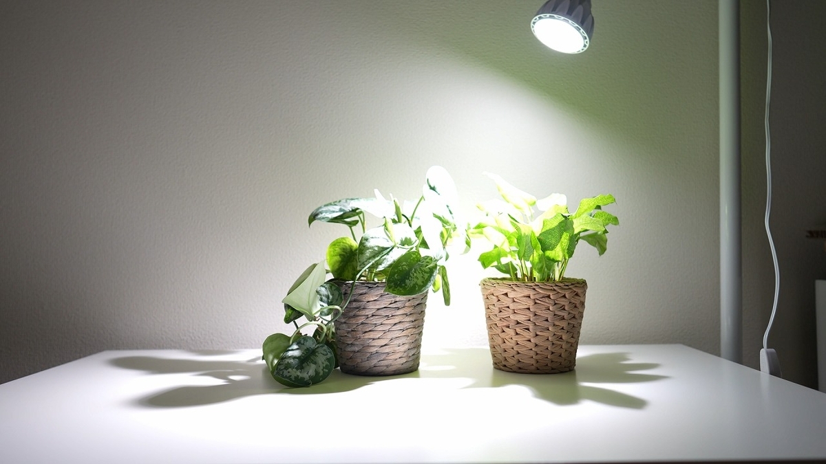 インテリアに映えるホワイトカラー植物育成ライト - RxFarm