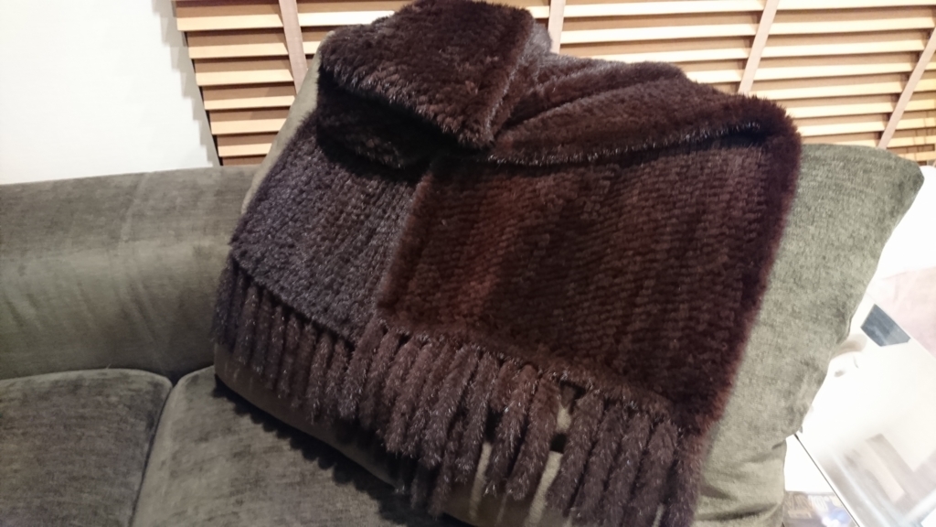 f:id:mady_chang:20161116190956j:plain