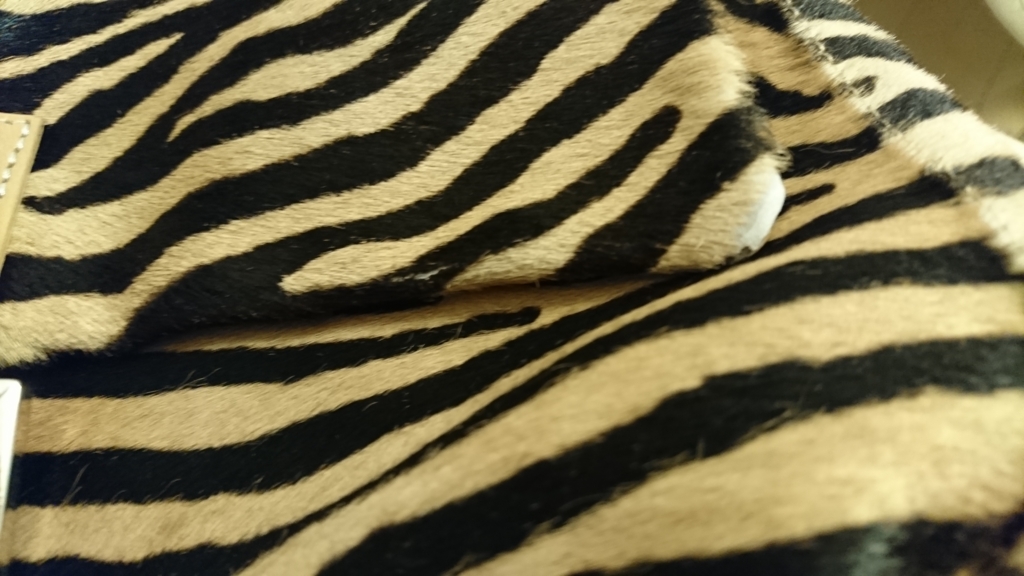 f:id:mady_chang:20161118143629j:plain