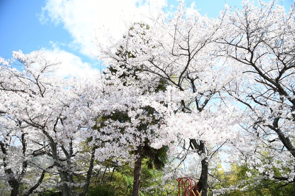 庭がない家のメリットとデメリット 庭がない家に住んで感じたこと Maelog