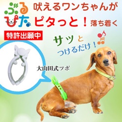 犬の躾でお悩みの方は ブルピタ の効果をお試しください 釜飯 食材 釜飯セット 釜めし 素 日本の 調理器具 の Maedaya 前田家 Blog