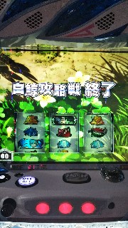 f:id:maedkeiji:20190529163431j:image