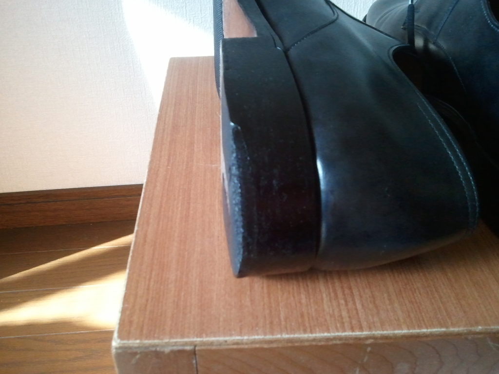 f:id:maeego:20190111104201j:plain