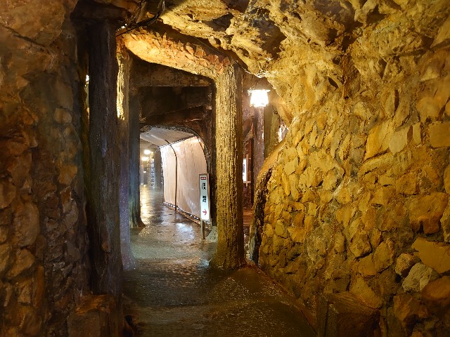 f:id:maemaechan:20210531220126j:image