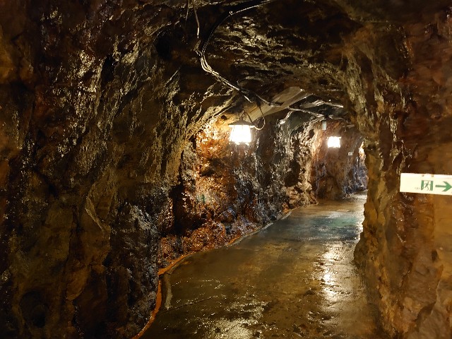 f:id:maemaechan:20210531220303j:image