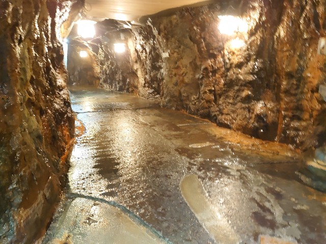 f:id:maemaechan:20210531220326j:image