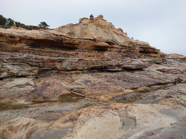 f:id:maemaechan:20210531220744j:image