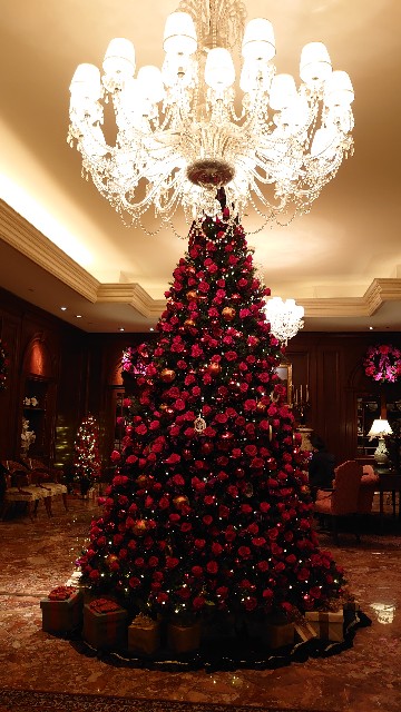 f:id:maemaechan:20211212200832j:image f:id:maemaechan:20211212200832j:image