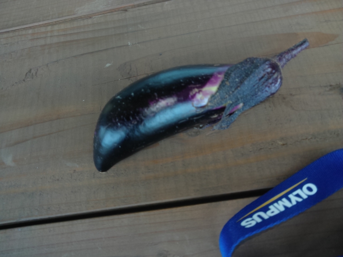 f:id:maemaekun:20190709185802j:plain