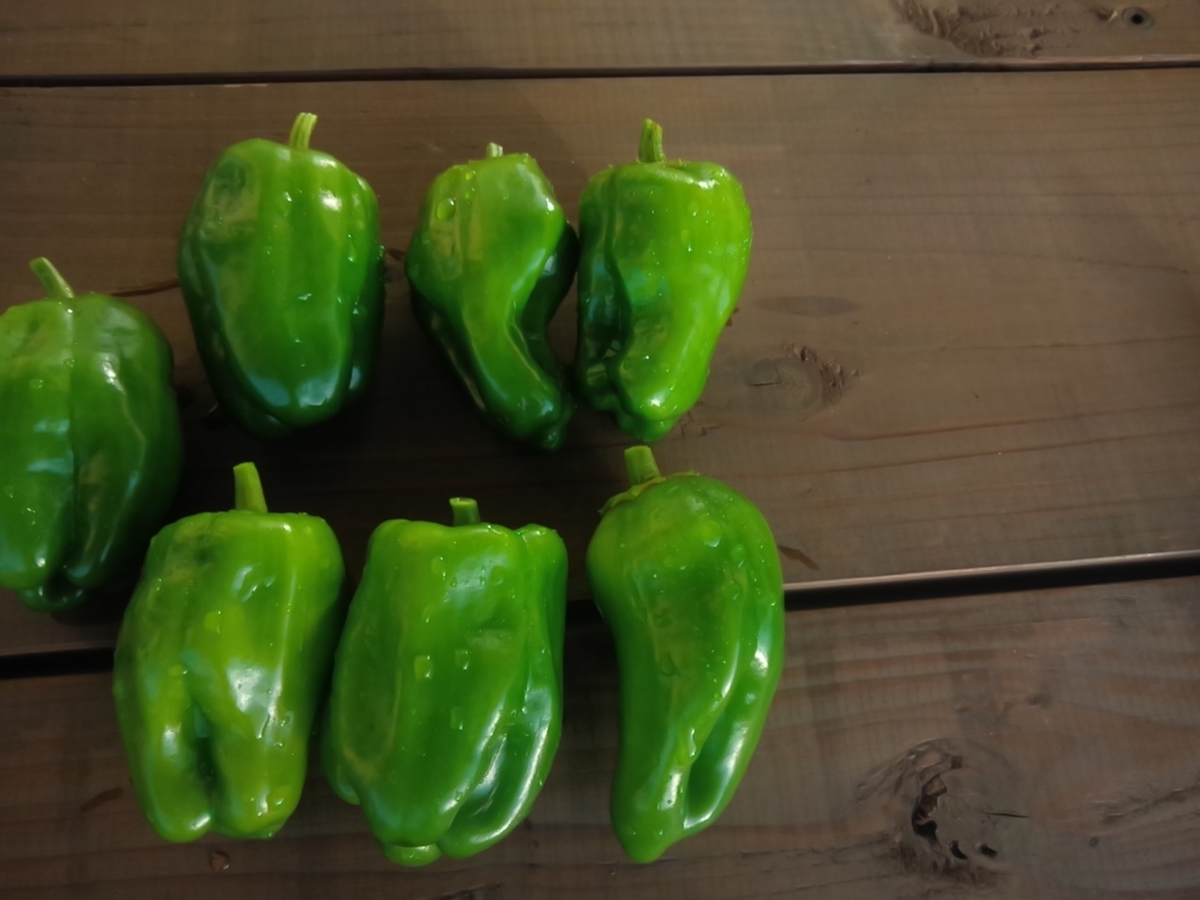 f:id:maemaekun:20190903142240j:plain f:id:maemaekun:20190903142240j:plain