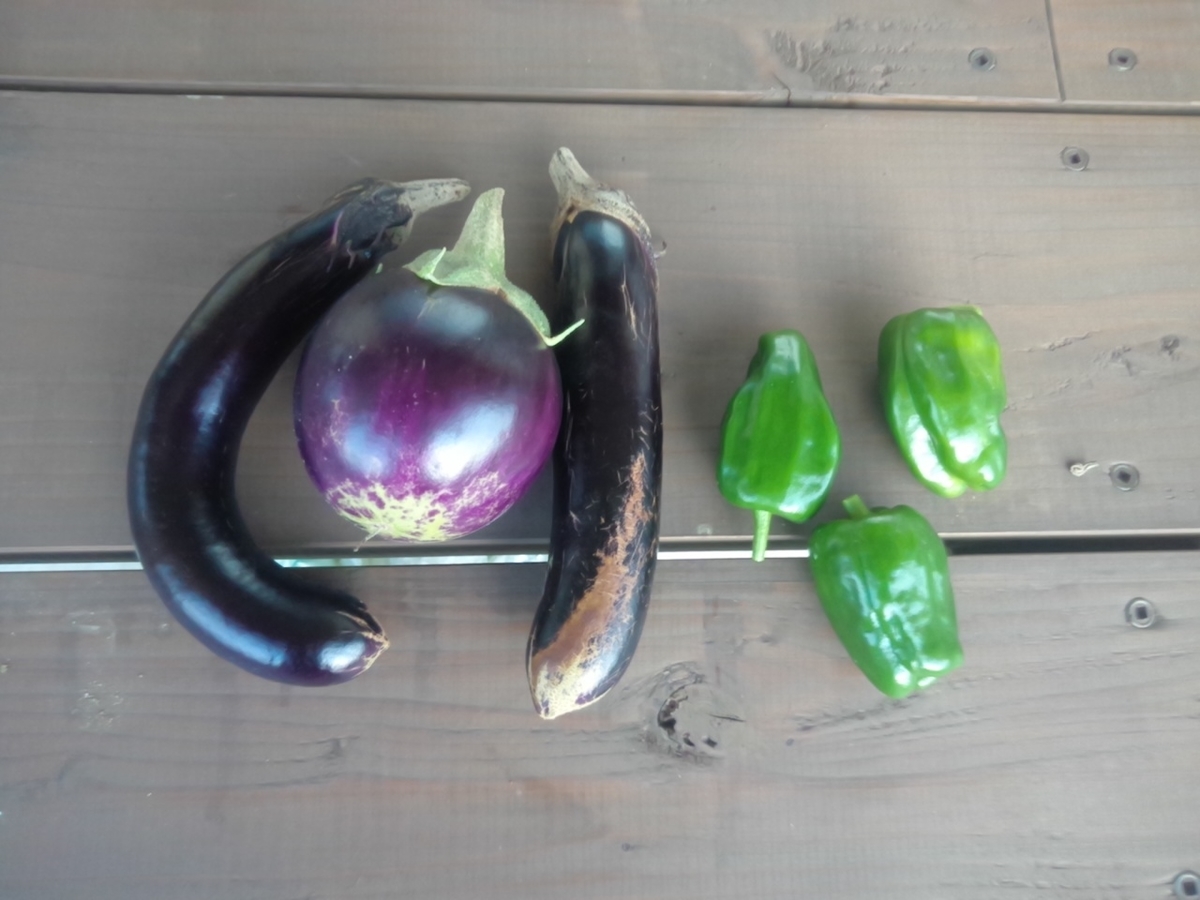 f:id:maemaekun:20191101081218j:plain