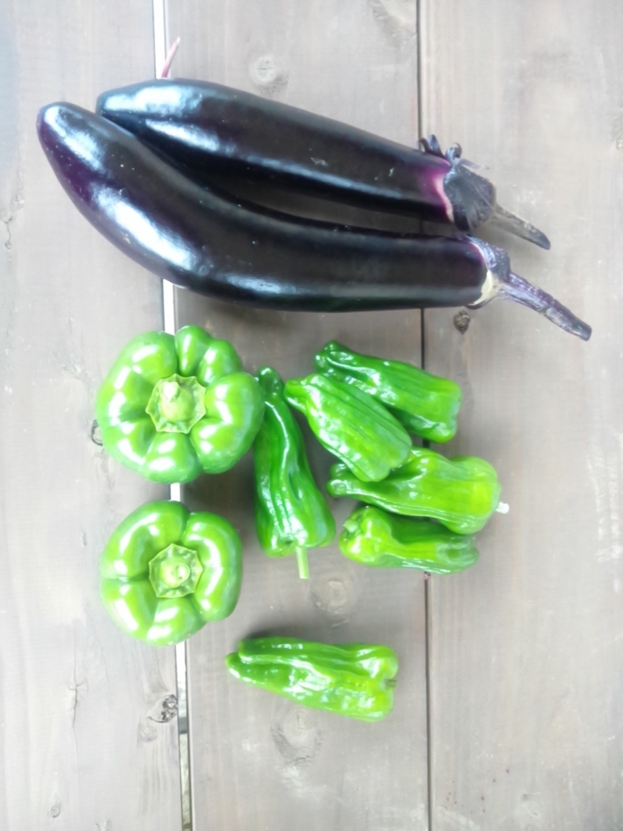 f:id:maemaekun:20200619163841j:plain