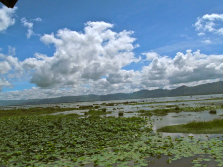 f:id:maemuki:20120612141033j:image