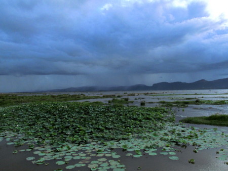 f:id:maemuki:20120612175851j:image