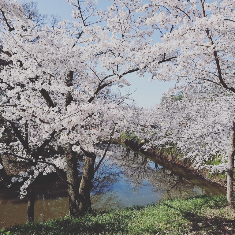 f:id:maemuki:20170416131206j:plain f:id:maemuki:20170416131206j:plain
