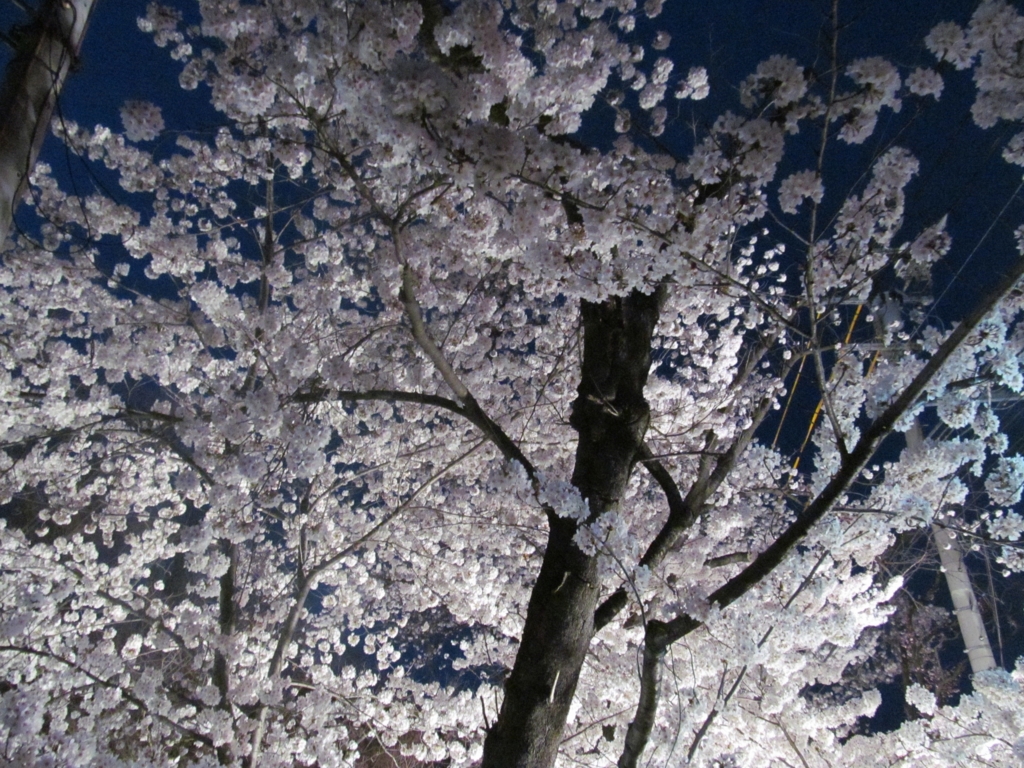 f:id:maemuki:20170416171240j:plain f:id:maemuki:20170416171240j:plain