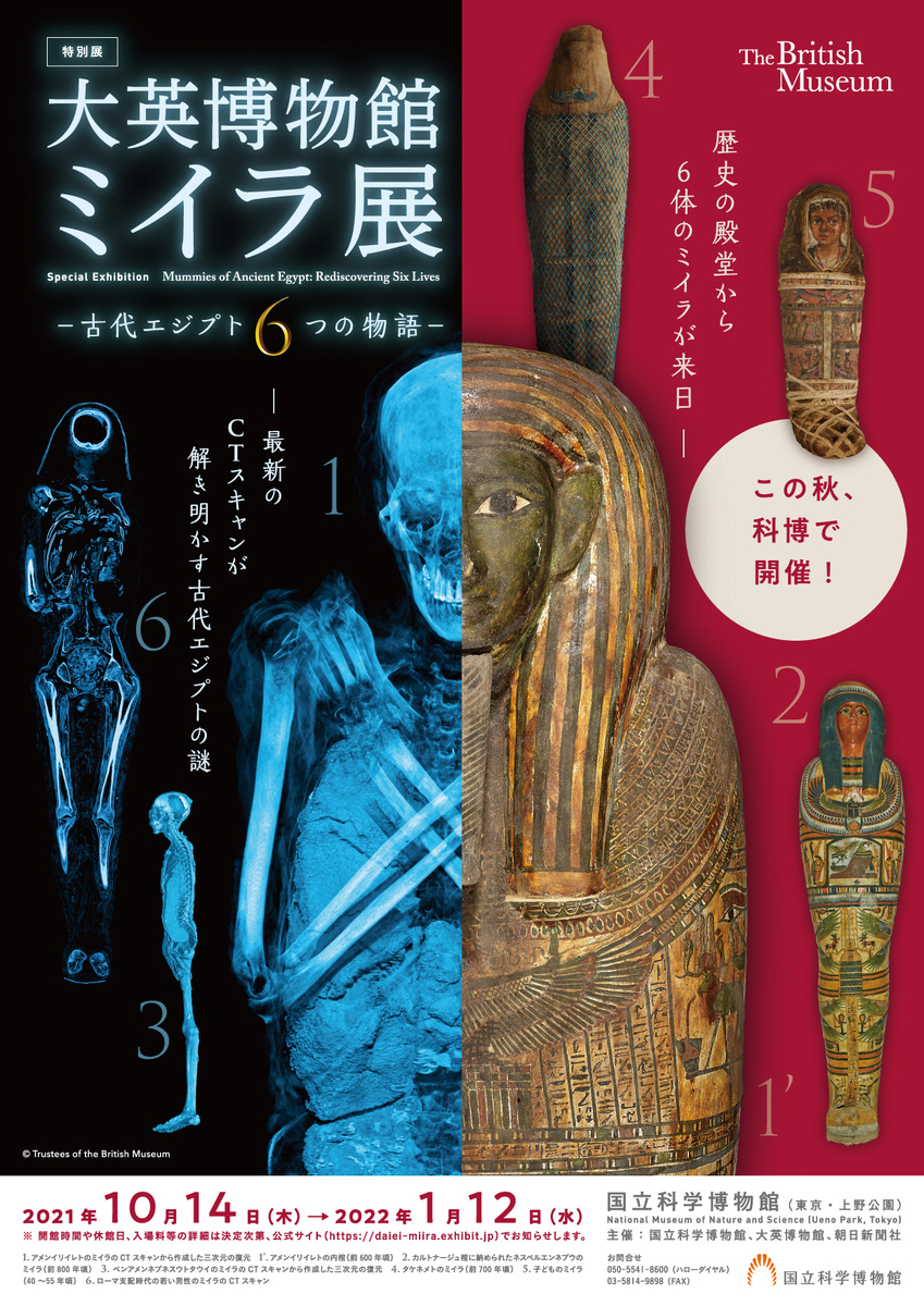 日記】上野へミイラ展とララルルをしに行きました💥 - さわやか
