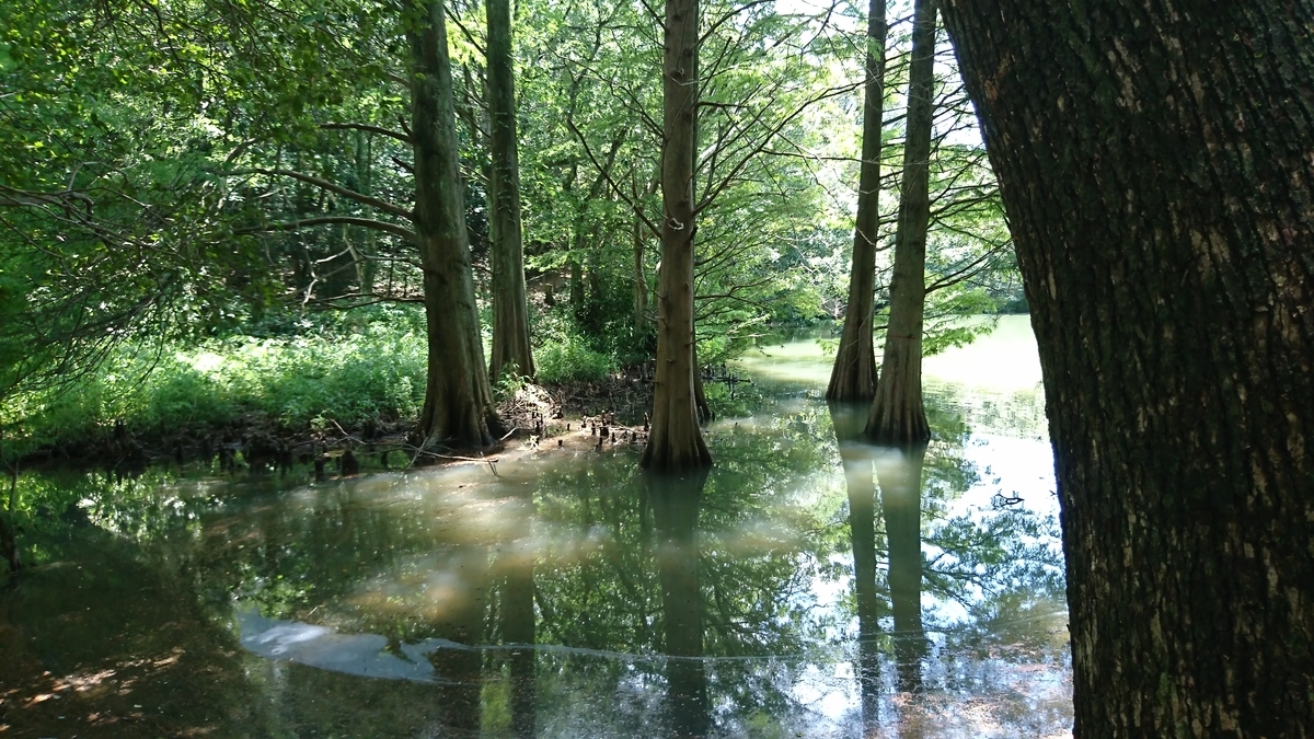 f:id:maemuki9410:20200129225609j:plain f:id:maemuki9410:20200129225609j:plain