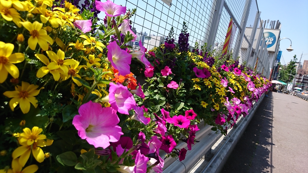 f:id:maemuki9410:20200209195545j:plain f:id:maemuki9410:20200209195545j:plain