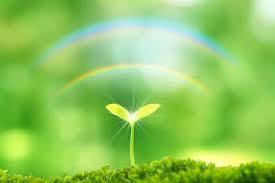 f:id:maemukiworld:20161212014757j:plain