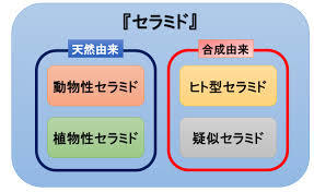 f:id:maemukiworld:20161217222542j:plain f:id:maemukiworld:20161217222542j:plain