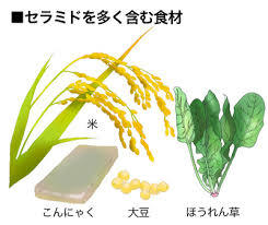 f:id:maemukiworld:20161218012924j:plain f:id:maemukiworld:20161218012924j:plain