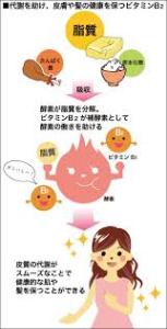 f:id:maemukiworld:20161230013250j:plain f:id:maemukiworld:20161230013250j:plain