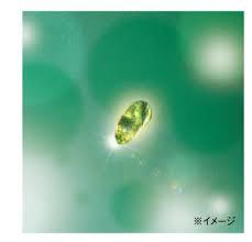 f:id:maemukiworld:20170107165146j:plain