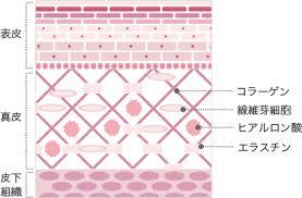 f:id:maemukiworld:20170109172444j:plain f:id:maemukiworld:20170109172444j:plain
