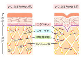 f:id:maemukiworld:20170129170026j:plain