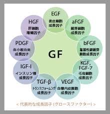f:id:maemukiworld:20170320231528j:plain