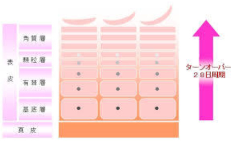 f:id:maemukiworld:20171109151334j:plain