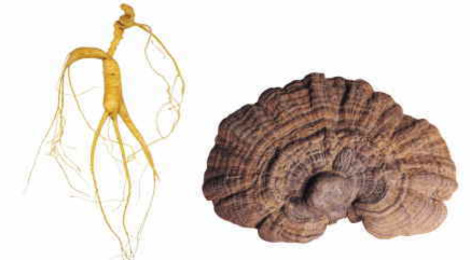 f:id:maemukiworld:20171109152052j:plain