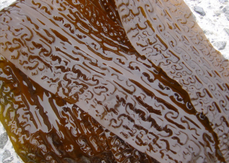 f:id:maemukiworld:20180211022546j:plain