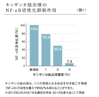 f:id:maemukiworld:20190503155231j:plain