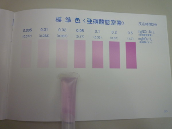 f:id:maestudio2009:20090616164903j:image
