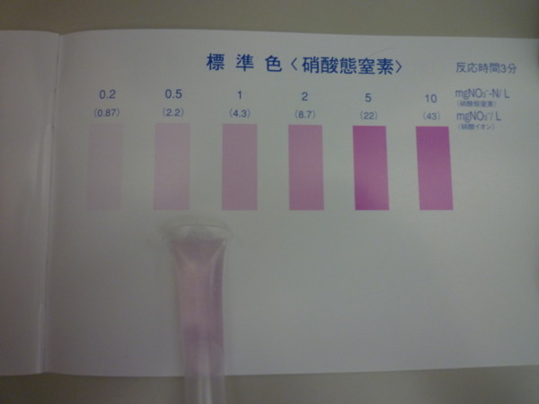 f:id:maestudio2009:20090616165003j:image
