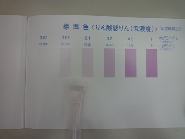 f:id:maestudio2009:20090616165208j:image
