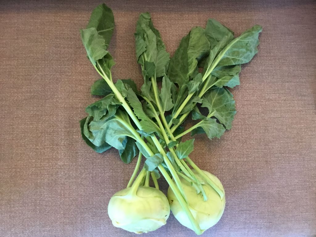 f:id:maeuschen:20180506071059j:plain f:id:maeuschen:20180506071059j:plain